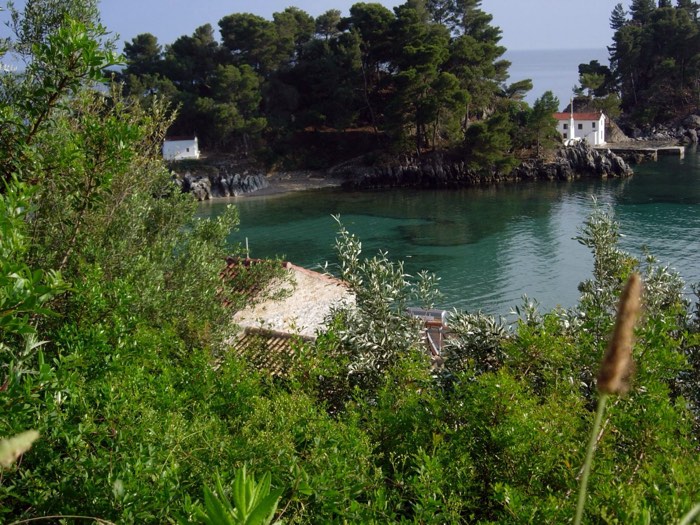 View across Parga bay toward the small pine-covered Panagia islet with its little white chapel at the water's edge.